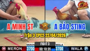 Trận 3 CPC2 22/04/2026 - Idol Bảo Sting Hạ Gọn Anh Minh Sóc Trăng