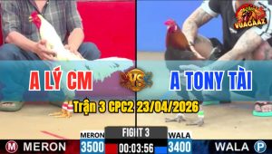 Trận 3 CPC2 23/04/2026 - Gà Bướm Cá Pha Lật Kèo Ngoạn Mục