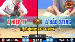 Trận 3 CPC2 24/04/2026 - Idol Bảo Sting Ra Qua Gặp Ngay Thứ Dữ
