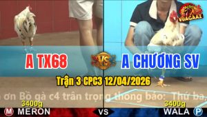 Trận 3 CPC3 12/04/2026 - ĐIỀU KHIỀU VÀI CHÂN  CÚ GÃY DÒ RINH RA