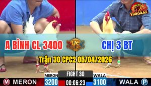 Trận 30 CPC2 05/04/2026 - Úa Quá Tốc Độ Khét La Miệng Bỏ Chạy Mau Lẹ