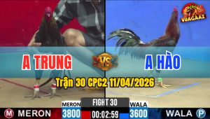 Trận 30 CPC2 11/04/2026 - Xám Phóng Ăn 5 Và Cái Kết Điều Trả Chân Xám Ngã Biệt Phản Tang Ăn 1