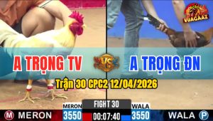 Trận 30 CPC2 12/04/2026 - Điều Nạp 2 Chân Úa Ói Nằm Tại Chỗ