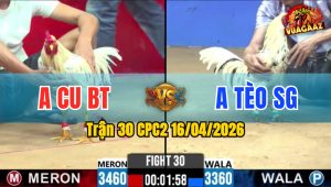 Trận 30 CPC2 16/04/2026 - 3 Tay Nước Đỏ Bị Xanh Đá Nằm 1 Đống