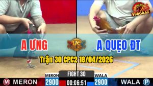 Trận 30 CPC2 18/04/2026 - Đỏ Giao Nạp Quá Hay Xanh Nằm Ngay Tại Chỗ