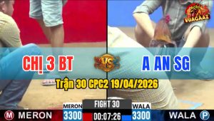Trận 30 CPC2 19/04/2026 - Đỏ Nạp Vài Chân Xanh Ói Xỉu Bưng Ra