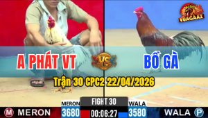 Trận 30 CPC2 22/04/2026 - Anh Phát VT Làm Thịt Luôn Gà Của Bồ Gà