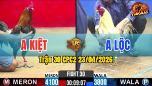 Trận 30 CPC2 23/04/2026 - Gà Anh Kiệt Có Chân Cựa Chí Mạng