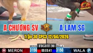 Trận 30 CPC3 12/04/2026 - Xám Khôn Khéo Lụm Bướm Nhanh Gọn