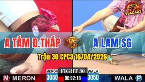 Trận 30 CPC3 16/04/2026 - Đỏ Quá Hay Vài Chân Lụm Lúa