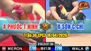 Trận 30 CPC3 18/04/2026 - Chuối Đâm Điều Xỉu hết Đứng