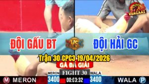 Trận 30 CPC3 19/04/2026 - Úa Đá Chân Quá Tịch Xám Hư Chân Nằm 1 Đống