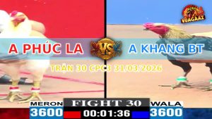 Trận 30 CPC3 31/03/2026 - Bướm Đâm Như Sát Thủ Hạ Chuối Phát Một