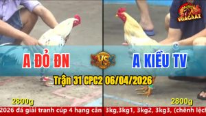 Trận 31 CPC2 06/04/2026 - Xanh Giao Nạp Quá Tốt Đỏ Hư Hình Bưng Ra