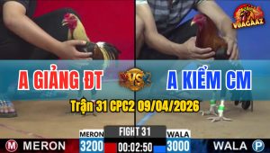 Trận 31 CPC2 09/04/2026 - Điều Chấp Ngông Và Cái Kết Chuối Đá Hư Hình