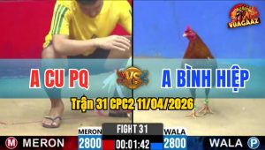 Trận 31 CPC2 11/04/2026 - Úa Đâm Cực Tịch 1 Đá Khét Lật Xe