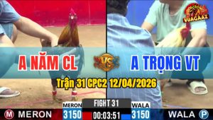 Trận 31 CPC2 12/04/2026 - Khét Nạp Quá Hay Bướm Chùi Ngay Chết
