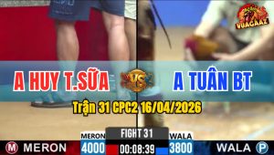 Trận 31 CPC2 16/04/2026 - Xanh Đâm Quá Đâm Đỏ Hư Hình Nằm Tại Chỗ