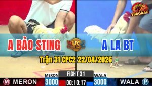 Trận 31 CPC2 22/04/2026 - Idol Bảo Sting Thất Bại Trước Anh La BT