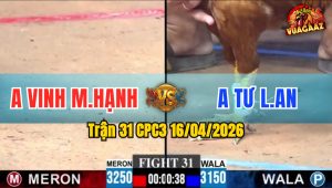 Trận 31 CPC3 16/04/2026 - Điều Đâm Như Máy Khâu Bưng Khét Ra Sân