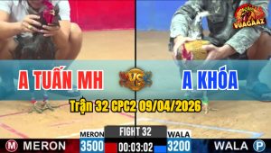 Trận 32 CPC2 09/04/2026 - Cú Ói Đứng Rồi Trả Chân Xanh Nằm Chết Tại Chỗ