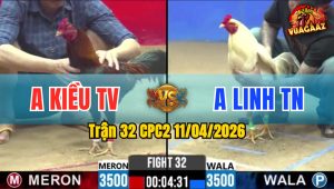 Trận 32 CPC2 11/04/2026 - Điều Đâm Quá Đâm Úa Nằm Biệt Sau 1 Tay Nước