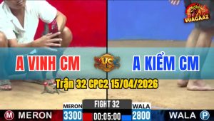 Trận 32 CPC2 15/04/2026 - Úa Cho Nặng 500G và Cái Kết Điều Đá Nằm Biệt