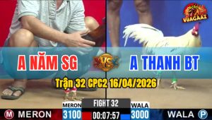 Trận 32 CPC2 16/04/2026 - Xanh Nạp Lùa Tốc Độ Bưng Điều Ra Ngoài Mau Lẹ