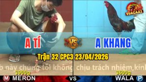 Trận 32 CPC3 23/04/2026 - Gà Đỏ Đá Cựa Đâm Như Sát Thủ