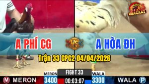 Trận 33 CPC2 04/04/2026 - Điều Bị Bướm Đá La Miệng Chỉ 2 Tay Nước