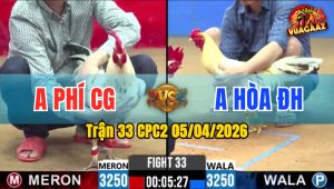 Trận 33 CPC2 05/04/2026 - Điều Bị Bướm Đá La Miệng Chỉ 2 Tay Nước