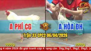 Trận 33 CPC2 06/04/2026 - Điều Bị Bướm Đá La Miệng Chỉ 2 Tay Nước