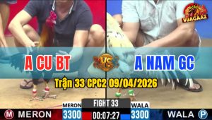 Trận 33 CPC2 09/04/2026 - Điều Quá Dẽo Đá Bướm Hét Sữa Phản Tang ăn 3