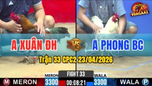 Trận 33 CPC2 23/04/2026 - Gà Anh Xuân ĐH Đá Đối Thủ Lật Xe
