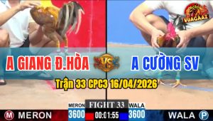 Trận 33 CPC3 16/04/2026 - Đỏ Đâm Banh Xanh Lụm Lúa Nhanh chóng