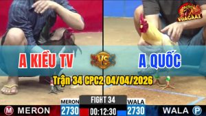 Trận 34 CPC2 04/04/2026 - Đỏ Không Kịp Tha Lơ Hư Hình Bưng Ra