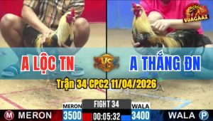 Trận 34 CPC2 11/04/2026 - Chuối Quá Tốc Độ Lụm Lúa Đơn Giản Chỉ 1 Tay Nước