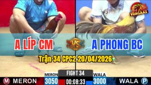 Trận 34 CPC2 20/04/2026 - Đỏ Đâm Như Xôm Khét Hư Hình Hết Cứu
