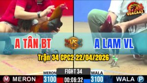 Trận 34 CPC2 22/04/2026 - Gà Điều Anh Tân Bến Tre Đâm Như Giang Hồ