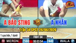 Trận 34 CPC2 24/04/2026 - Bướm Hiệu Của Bảo Sting Ra Trận Thì Khỏi Phải Bàn