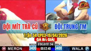 Trận 34 CPC3 19/04/2026 - Điều Đâm Quá Đâm Bướm Ói Chết Tại Chỗ Sau 2 Tay Nước