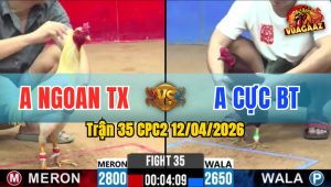 Trận 35 CPC2 12/04/2026 - Bướm Đâm Như Xôm Điều Nằm Ngay Một Chỗ