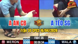 Trận 35 CPC2 16/04/2026 - Bướm Đá Điều Hư Điều Trả Chân Chân Bướm Quay Đầu Bỏ Chạy