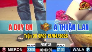 Trận 35 CPC2 19/04/2026 - Đỏ Nạp Vài Chân Điều Vàng Kêu Miệng Bỏ Chạy