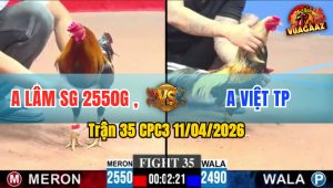 Trận 35 CPC3 11/04/2026 - CHUÔI A VIỆT QUÁ ĐẲNG CẤP  MẤY CHÂN DIỀU DÃY CHẾT