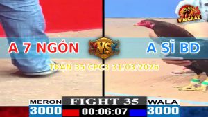 Trận 35 CPC3 31/03/2026 - Đỏ Lì Đòn Đá Tới Phút Cuối Hạ Xanh