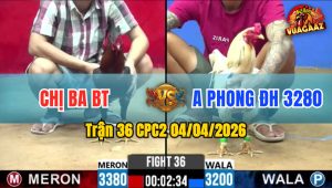 Trận 36 CPC2 04/04/2026 - Bướm Buôn Đuôi Điều Gãy Chân Nằm Liệt