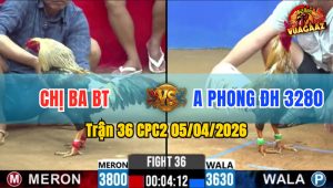 Trận 36 CPC2 05/04/2026 - Bướm Buôn Đuôi Điều Gãy Chân Nằm Liệt