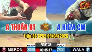 Trận 36 CPC2 09/04/2026 - Xanh Phóng Lúng Và Cái Kết Đỏ Đá Hư Hình