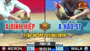 Trận 36 CPC2 11/04/2026 - 2 Con Quá Dẽo Huề Đầy Thiết Phục